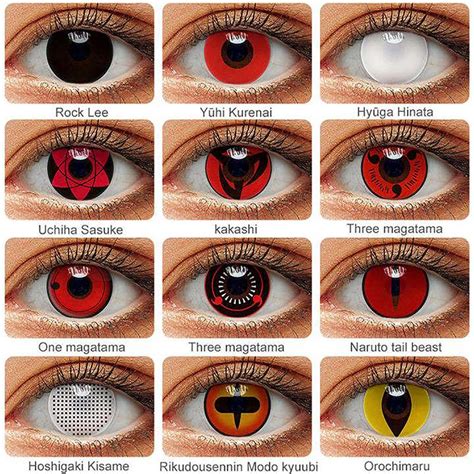 Contacts-Apatity